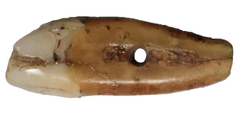 archaeologists-identif-5