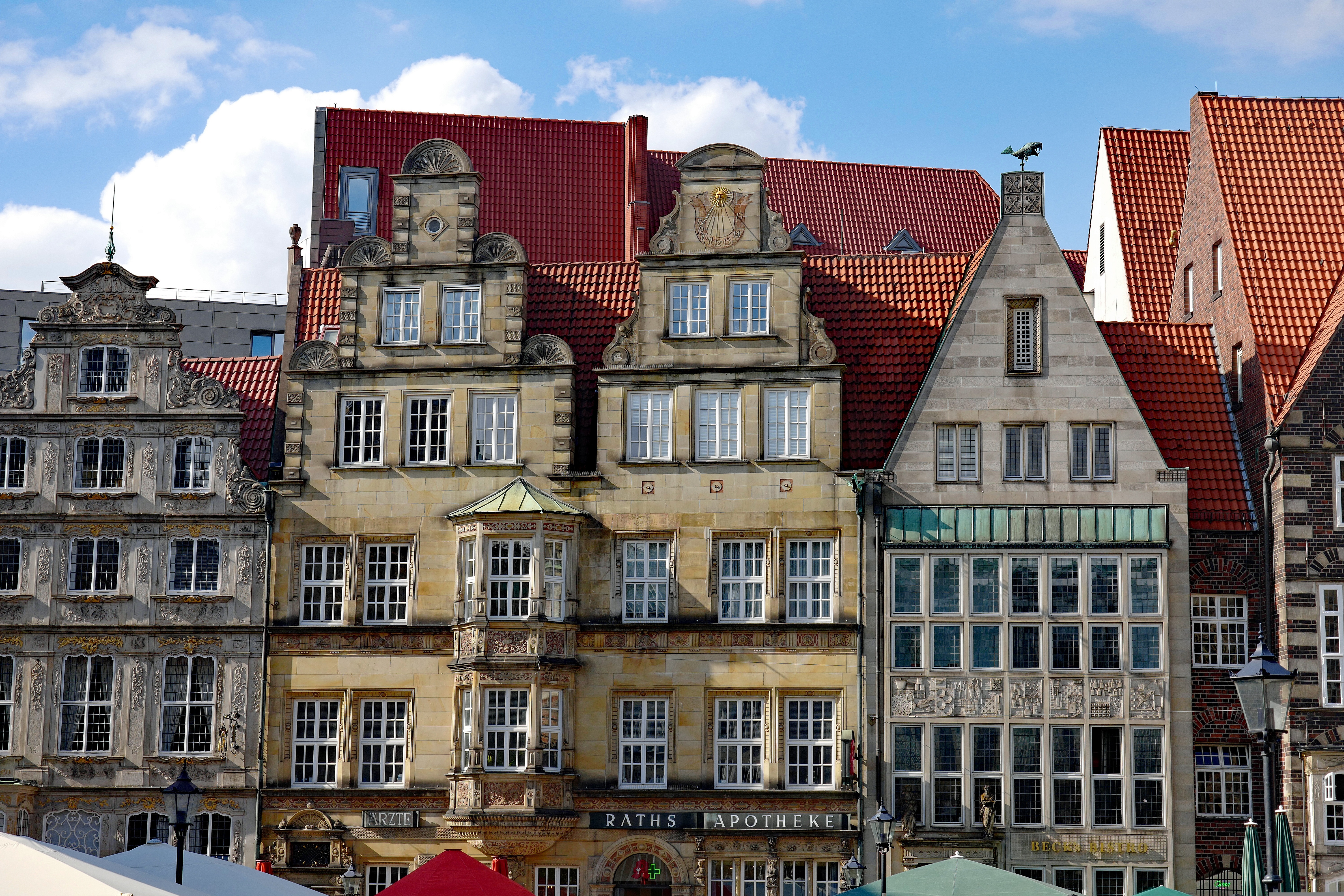 stephaniealbert-bremen-3665707
