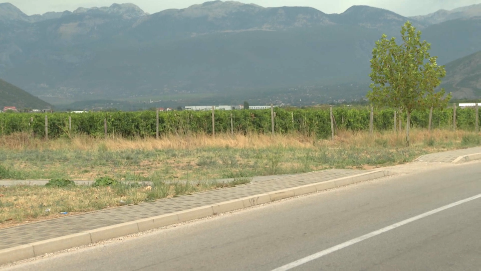 vinograd uborak