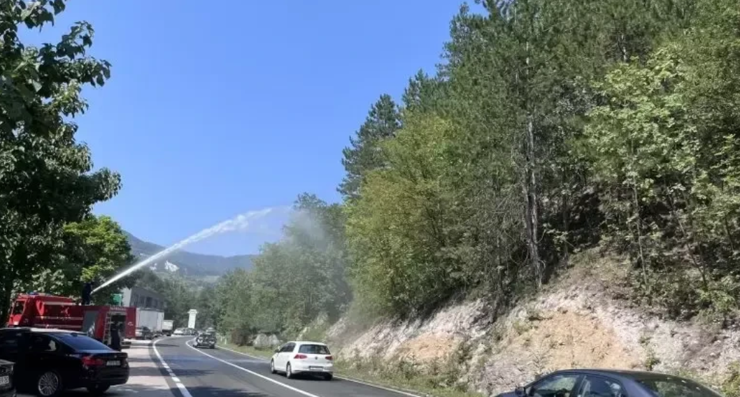odroni-konjic