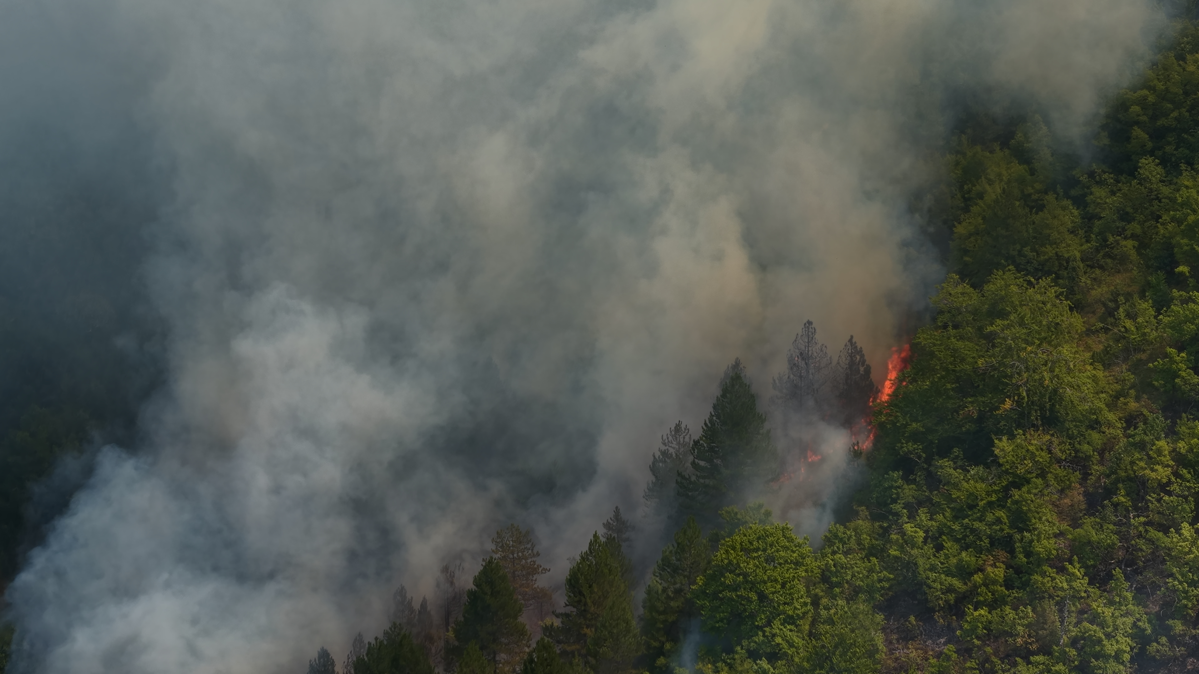 Konjic, Bosna i Hercegovina, 7. august 2026( Elman Omic - Anadolu Agency )