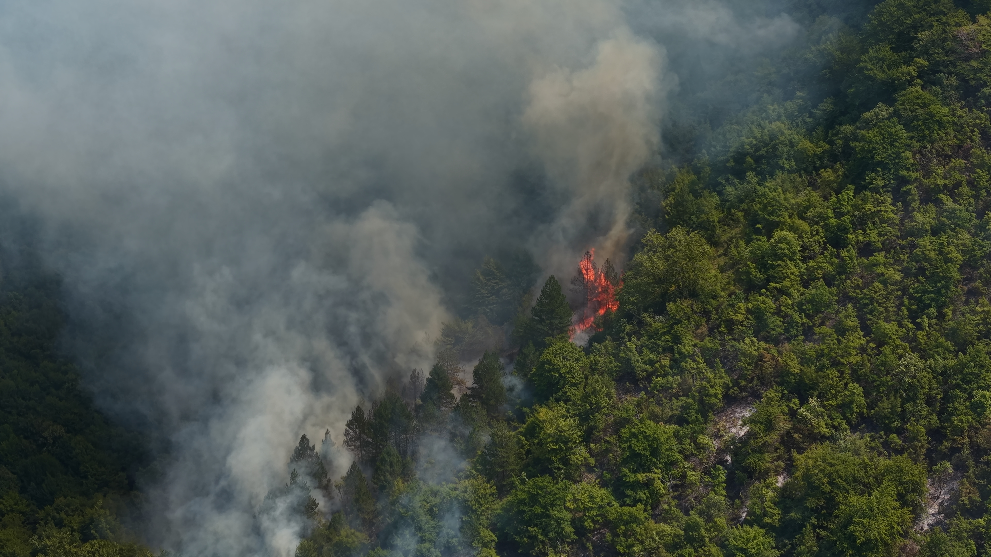Konjic, Bosna i Hercegovina, 7. august 2026 ( Elman Omic - Anadolu Agency )