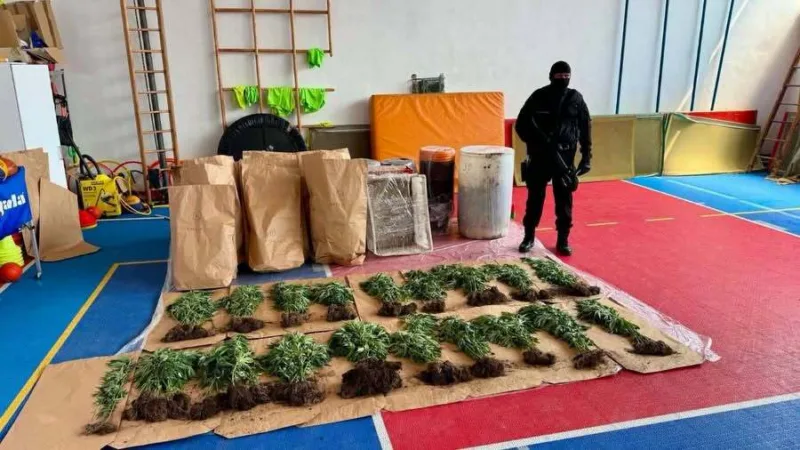 bijeljina-akcija-plantaza
