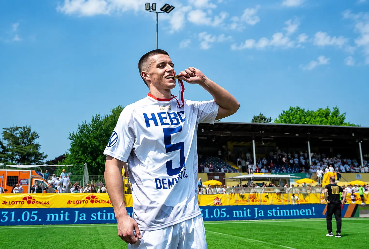 semir demirovic