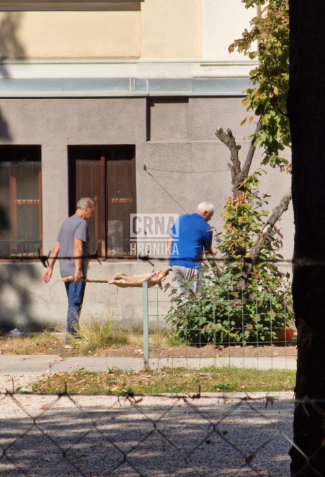 zemaljski muzej