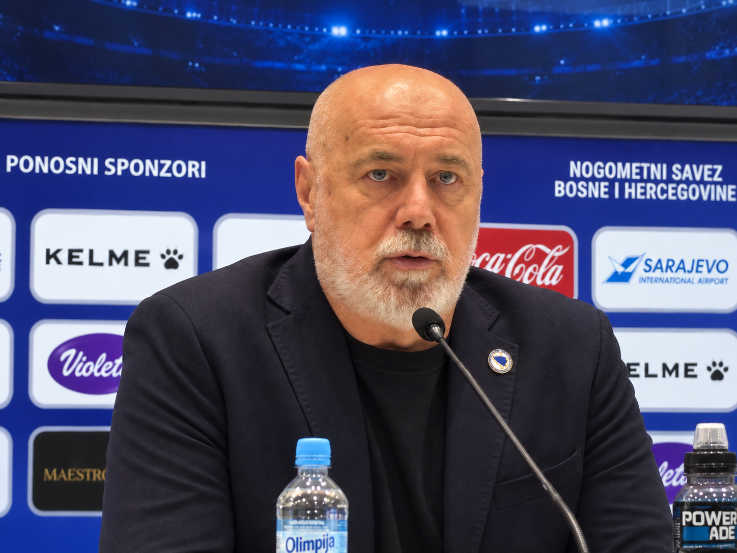 Sergej Barbarez 11.png
