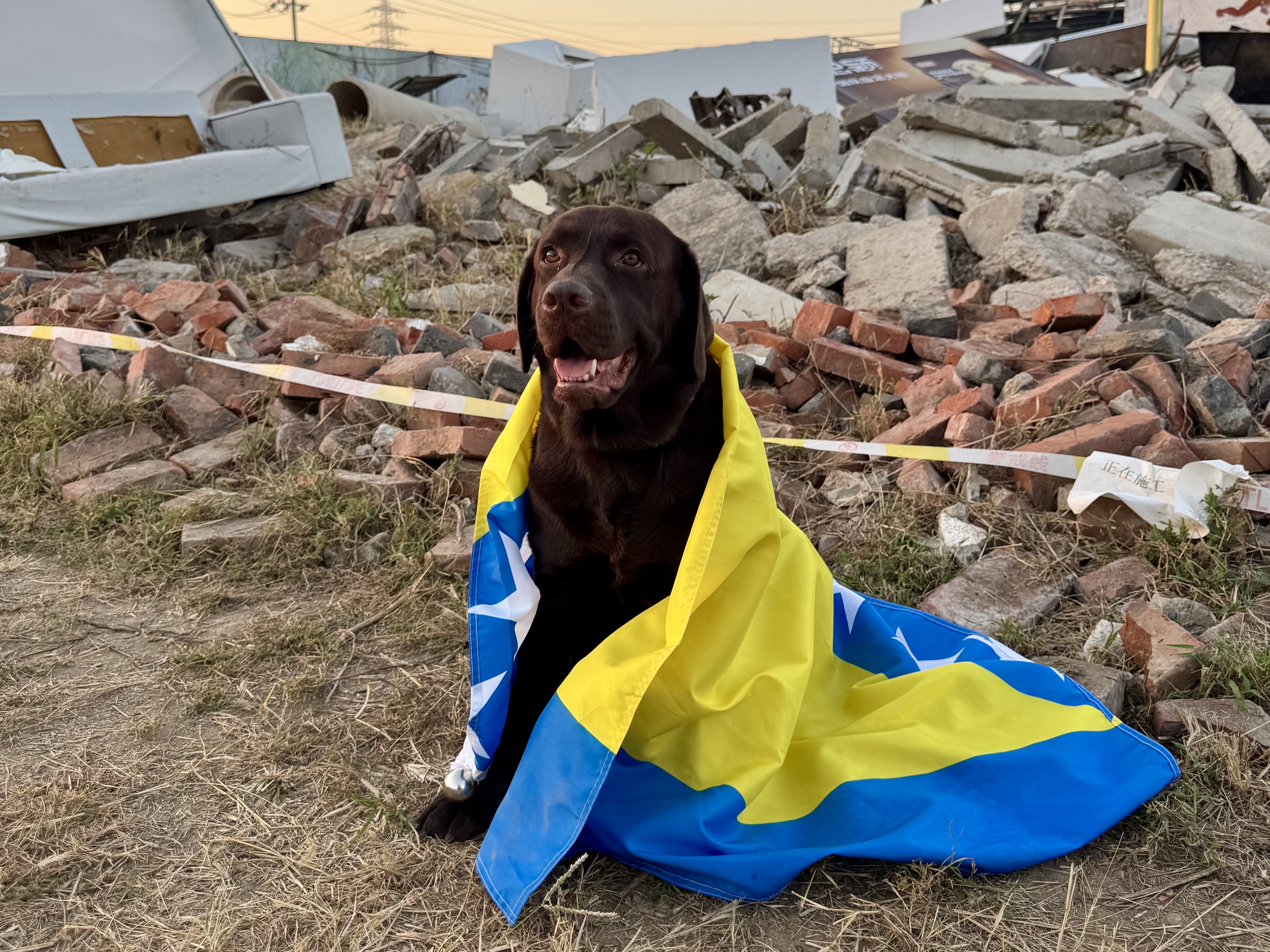 đurđa, zastava bih