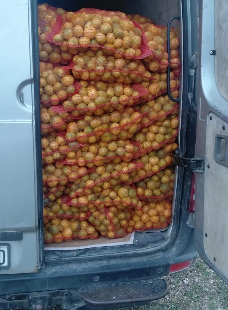 mandarine