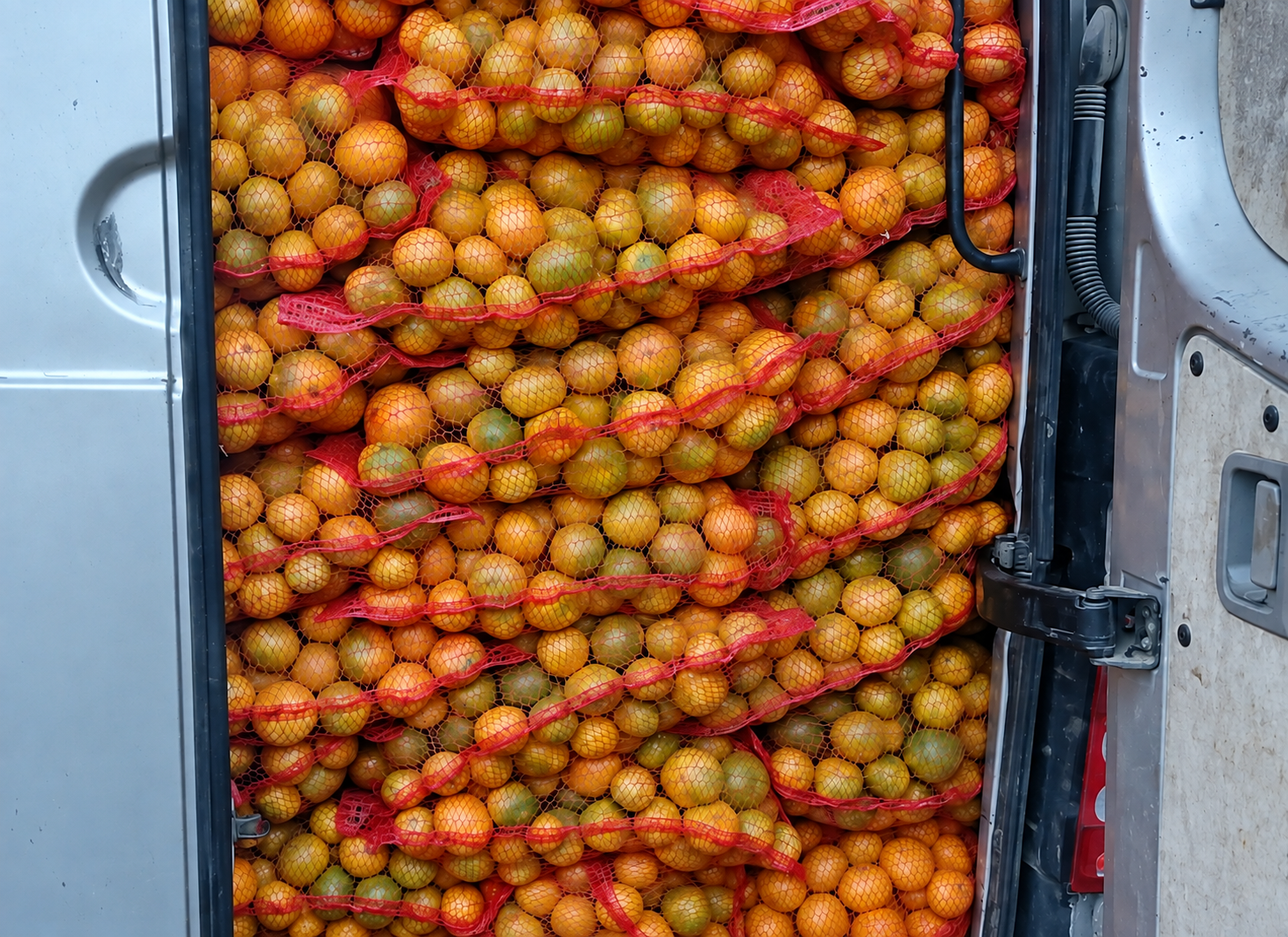 mandarine