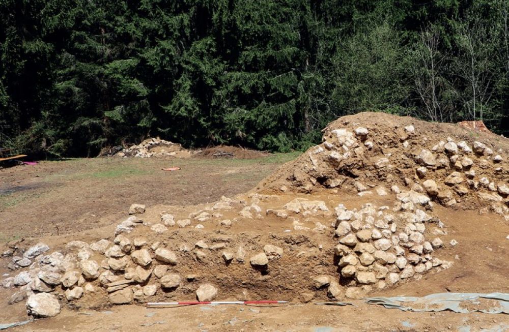begica-glavica-