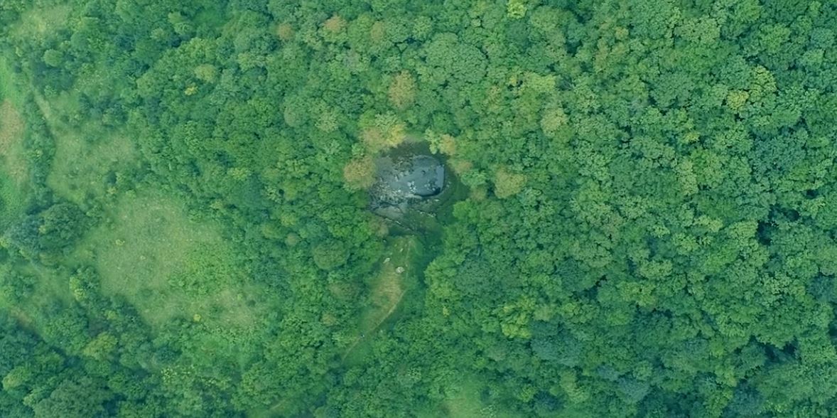 bobijasko oko