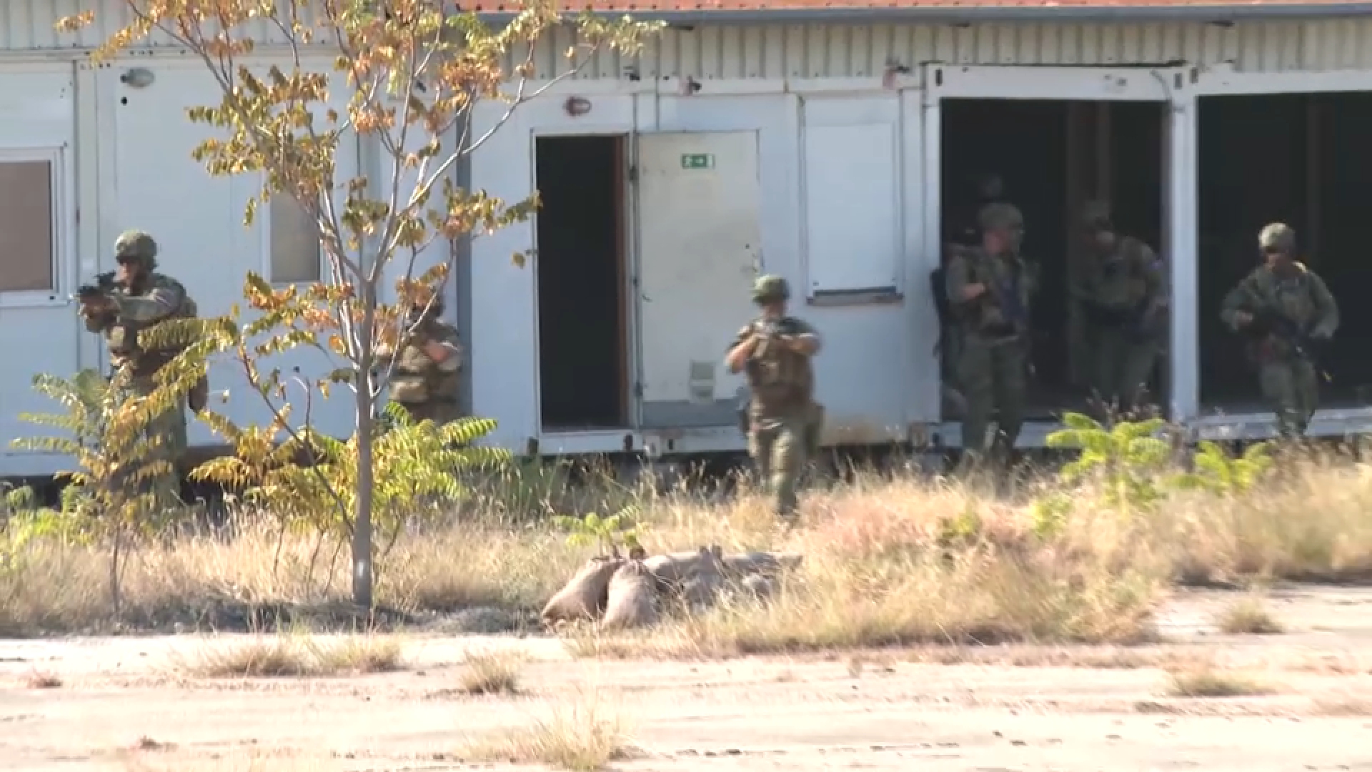 eufor