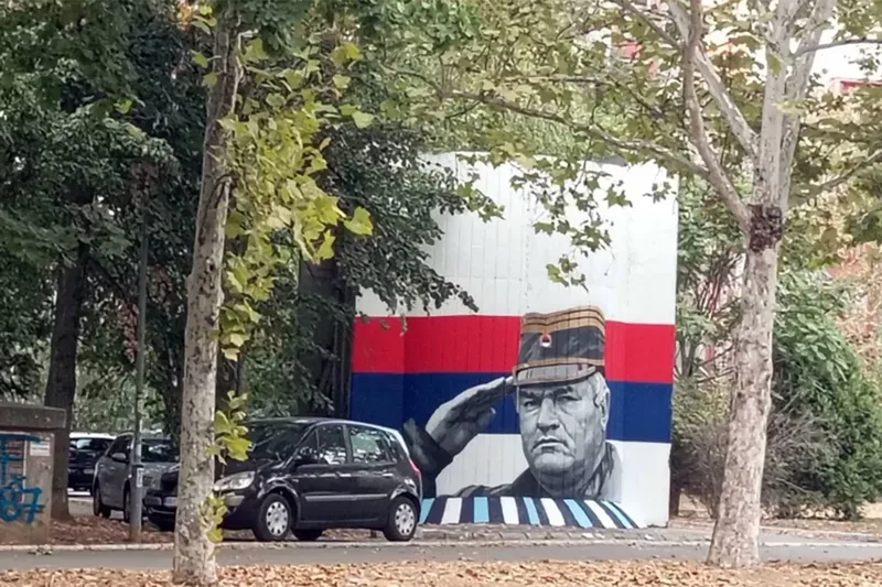 mladic-srna