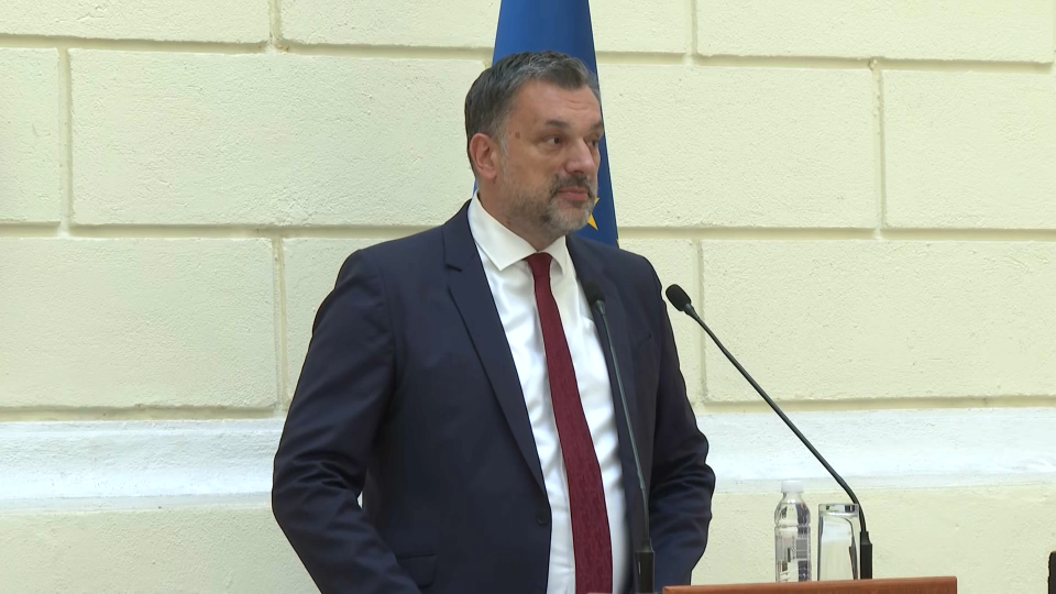 elmedin koankovic