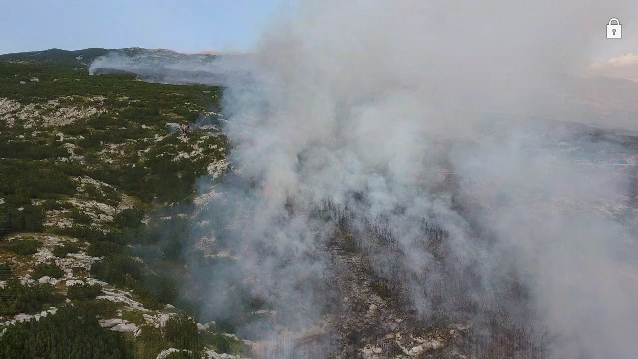 21083519_1423080421103028_6871797978246297140_o