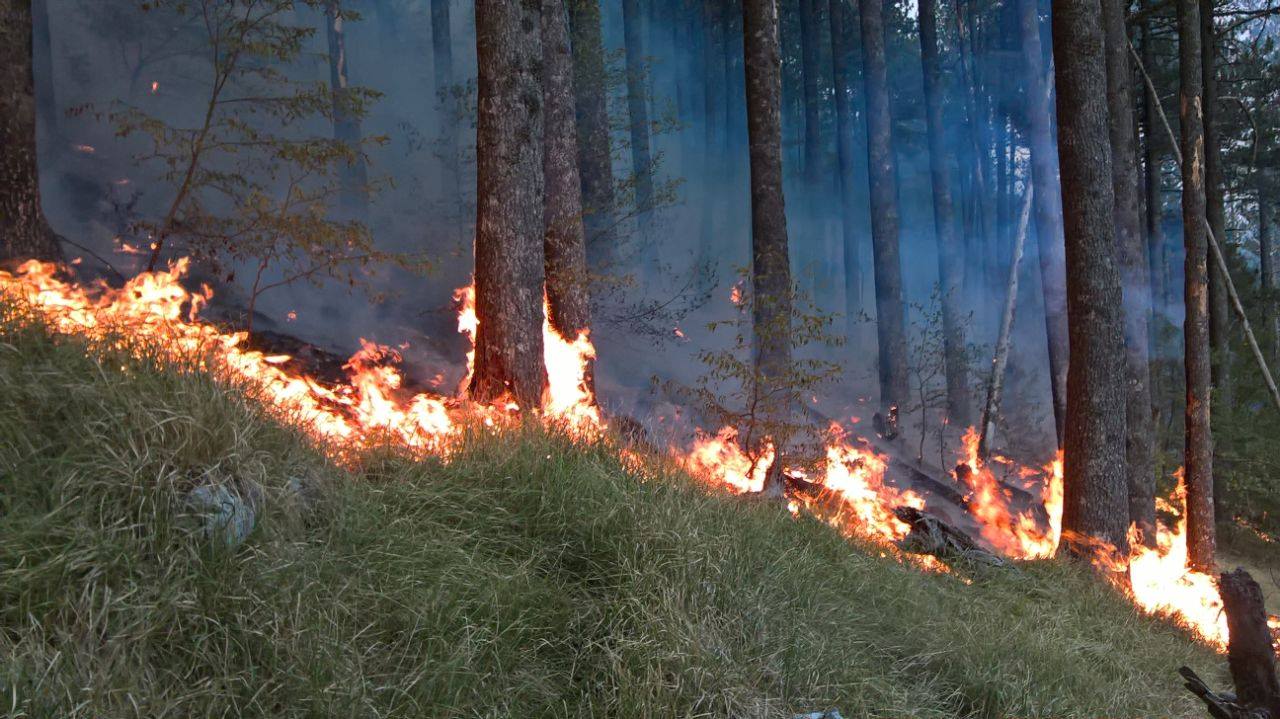 21125596_1839209969426647_103258410366012046_o