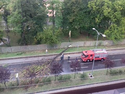 21641595_2064585410437436_5400689_n