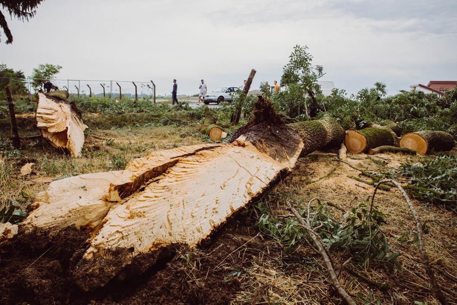 228263982_946958089506725_8396699895155794962_n