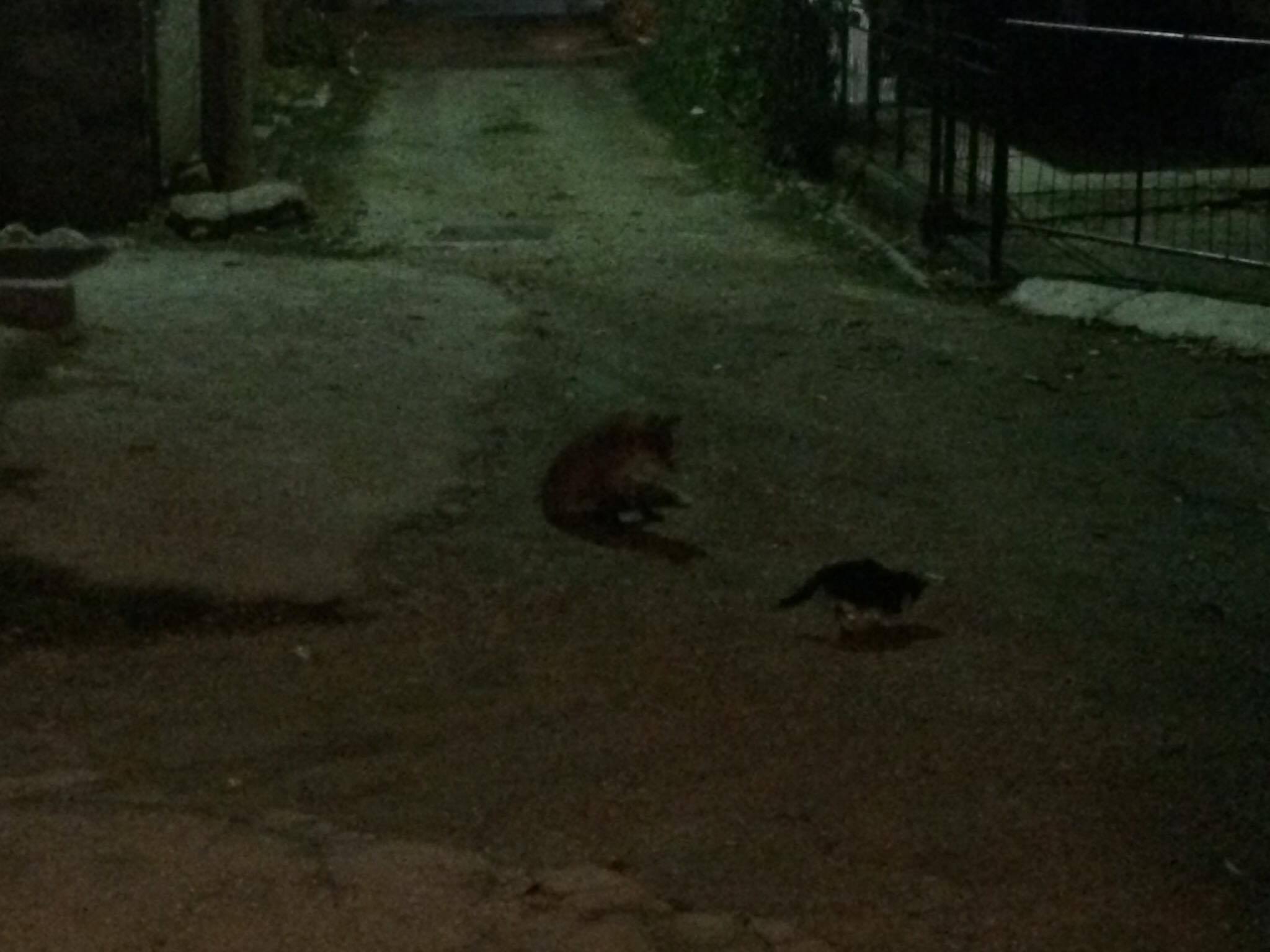 23584131_10155305522147979_210404978_o