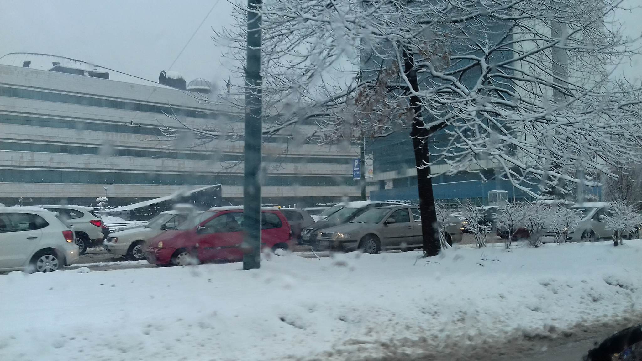 25086951_10155289748913693_2025894114_o