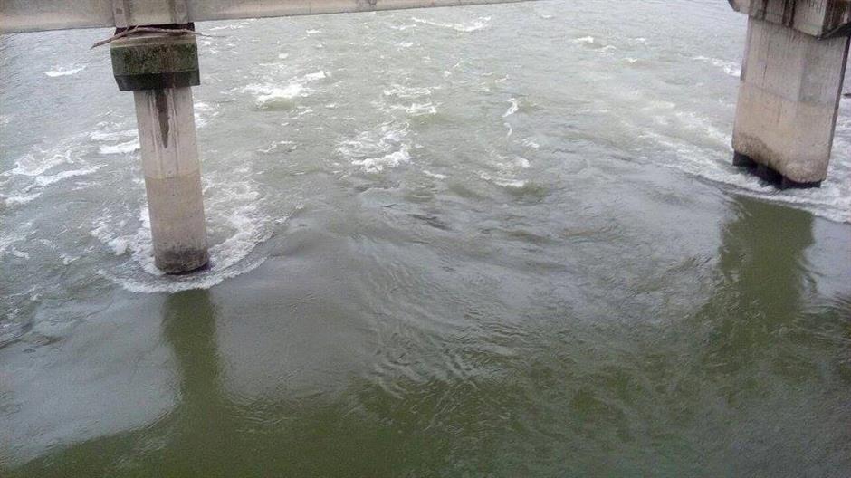 26166992_1660060580723643_1893731508239488702_n