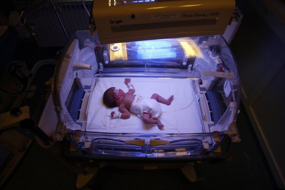 26173313_1145961998874111_6407415299541706065_o