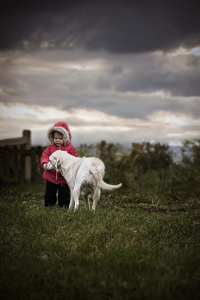 Jelena Simić Petrović