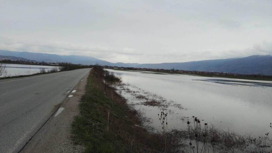 29996011_10215520942478030_1561429849_o