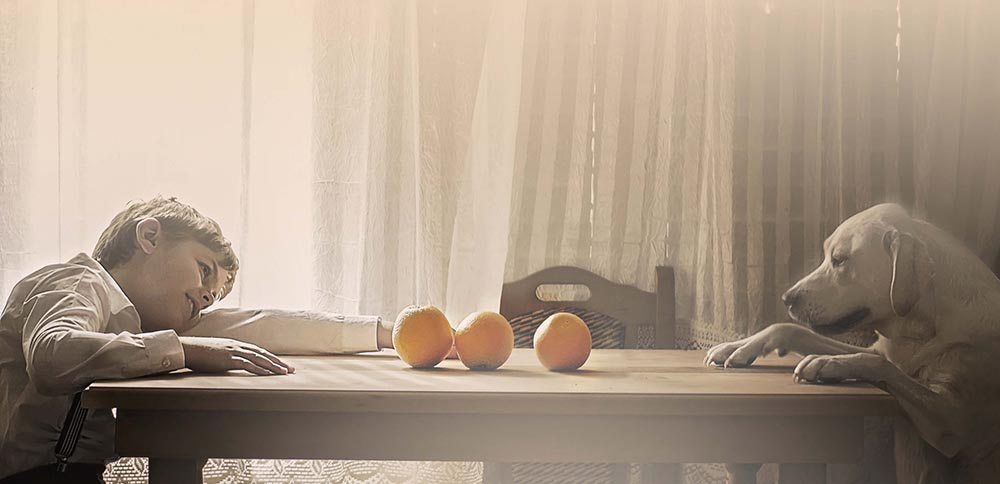 Jelena Simić Petrović