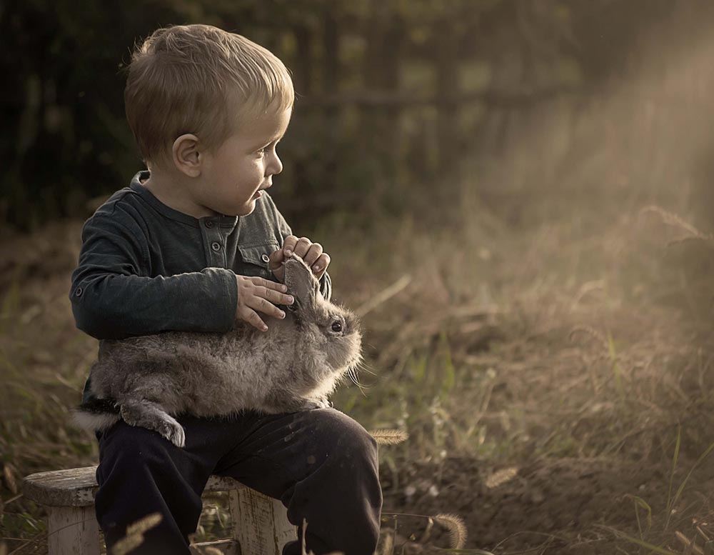 Jelena Simić Petrović