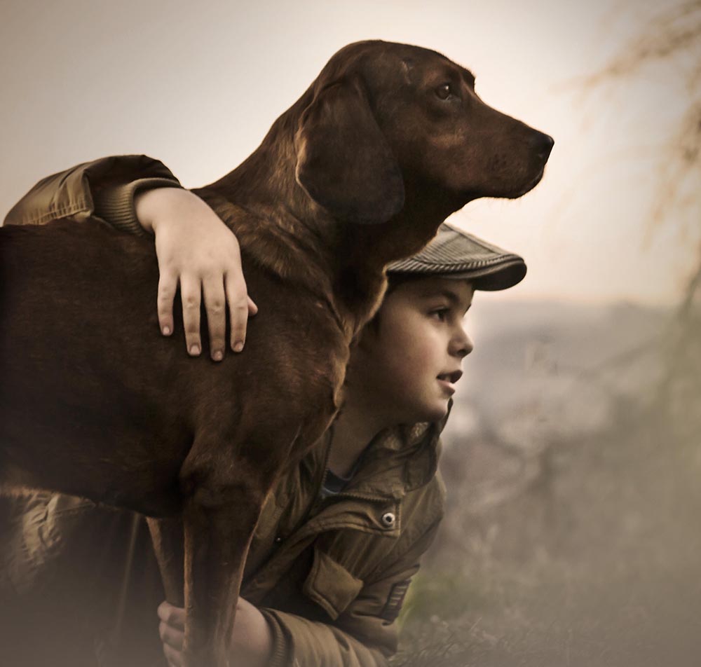 Jelena Simić Petrović