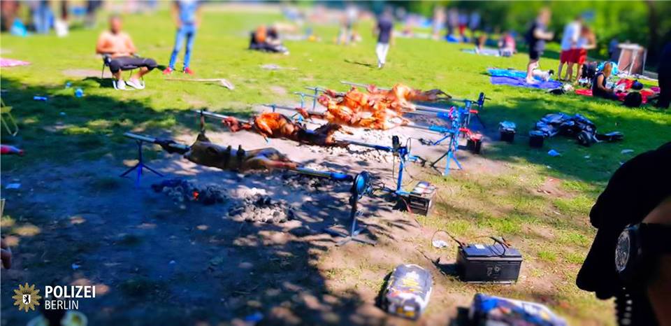 31964215_864719703712135_1274464225770602496_n