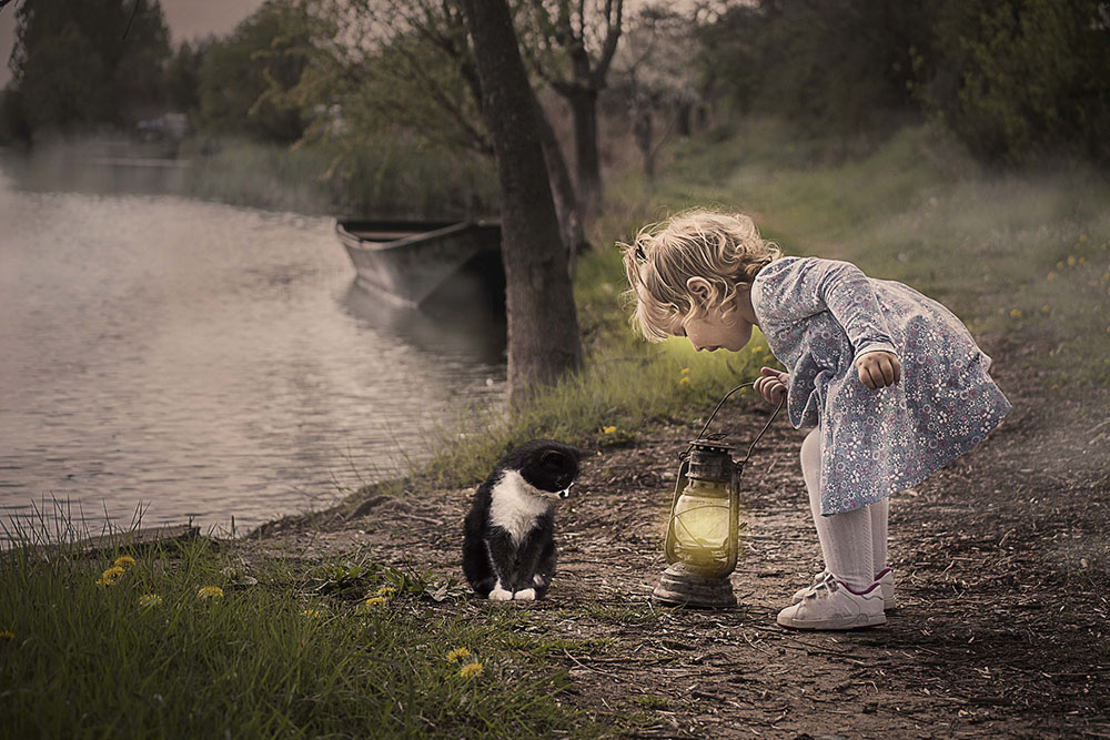 34887846472_91cc0c9ee6_k