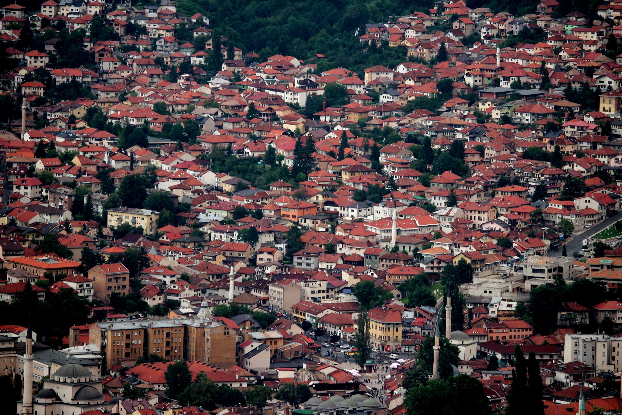 35733513_458462564592924_3157306454440935424_o