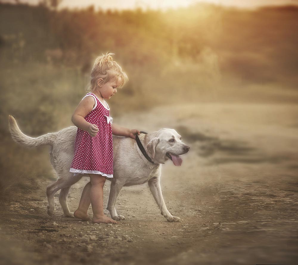 Jelena Simić Petrović