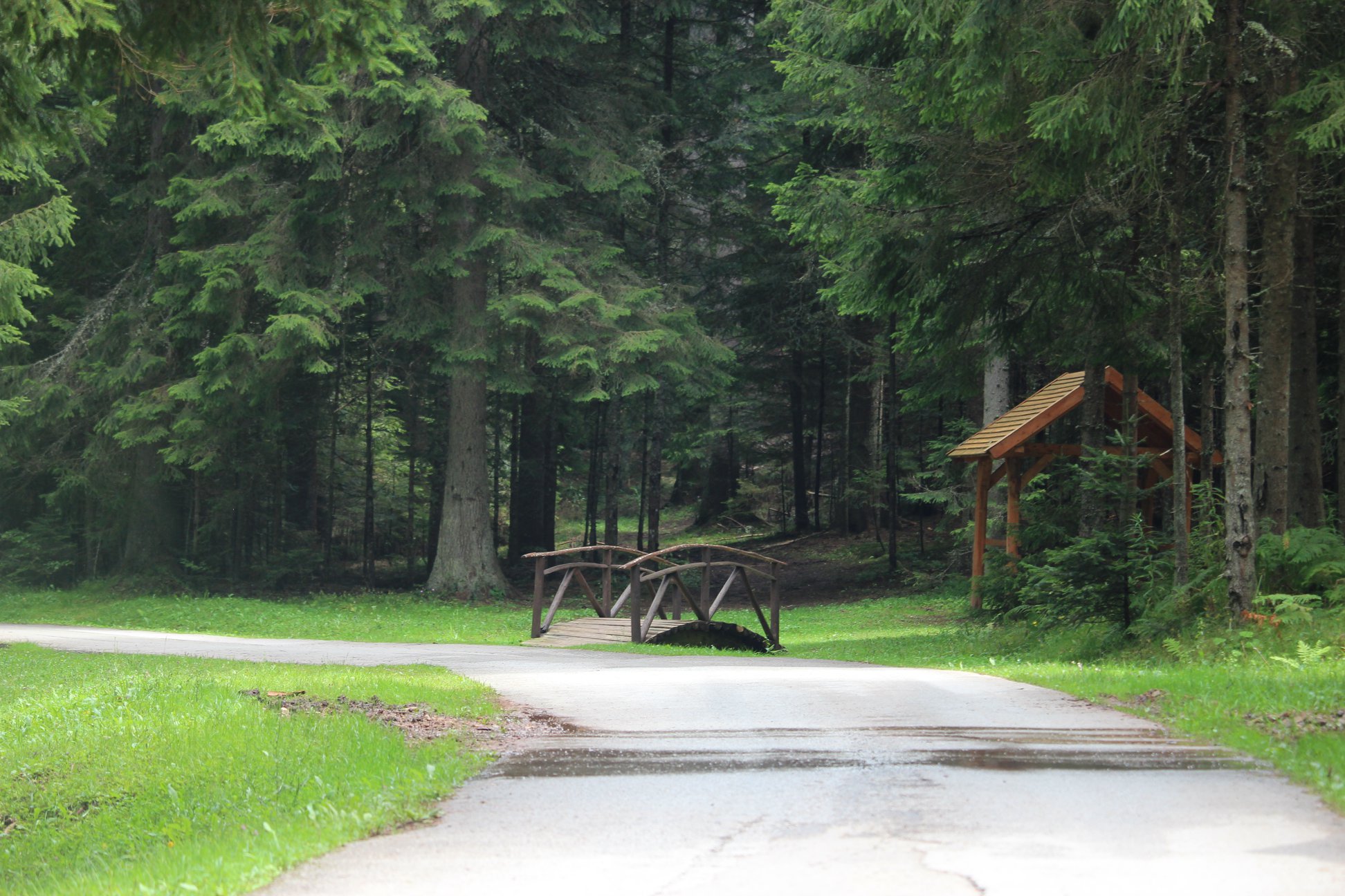 37956635_496225674149946_4187171407941074944_o