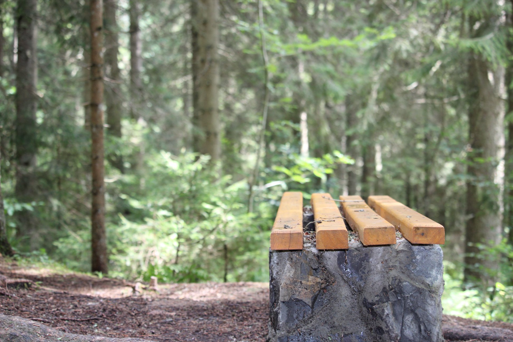 38023542_497158560723324_8393728421355585536_o