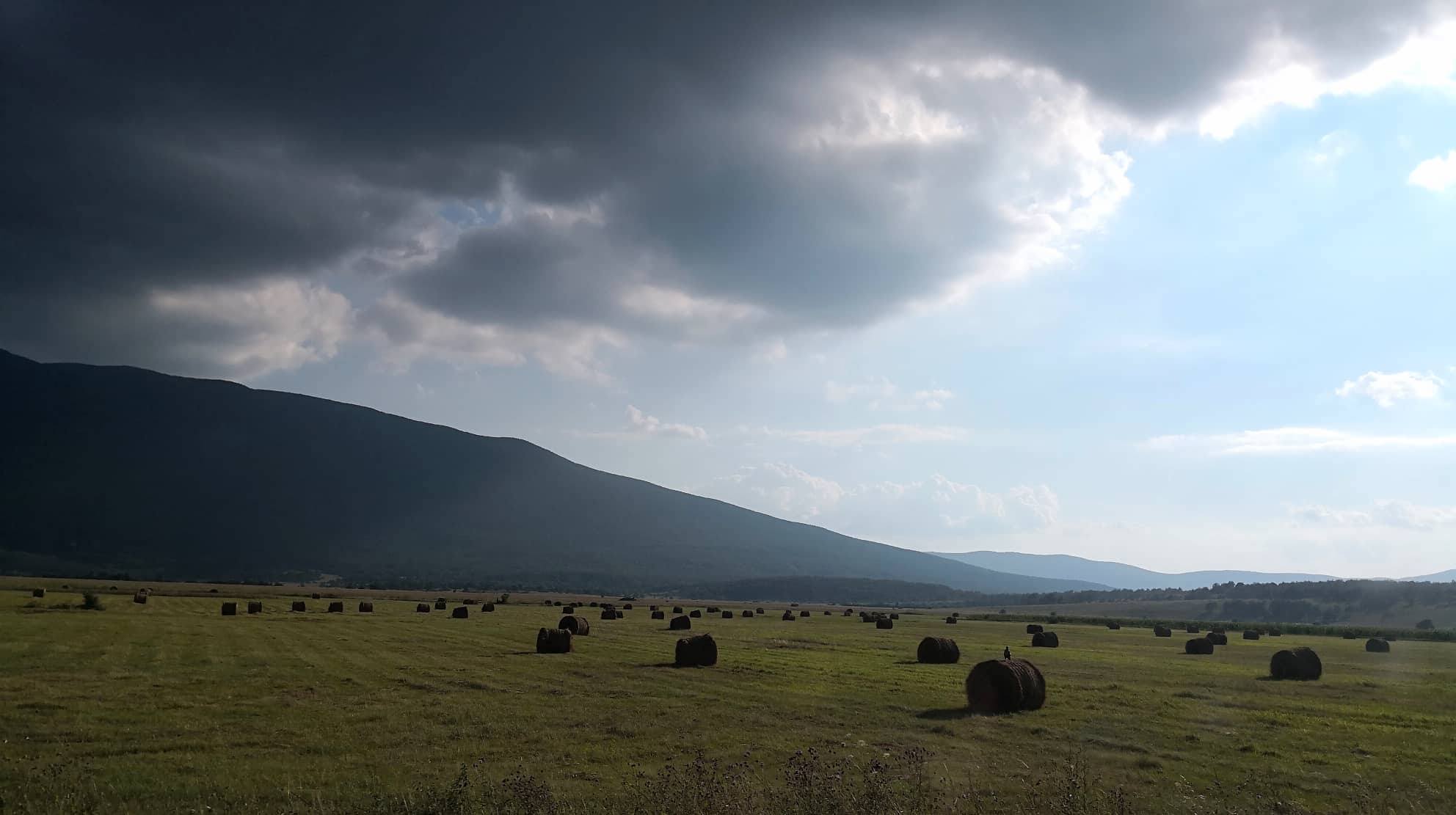 38544226_504180756687771_130606240324648960_o