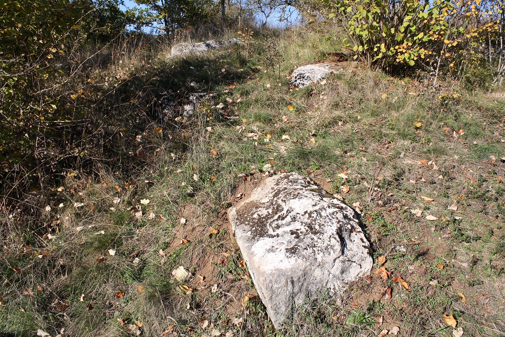 3884~Istorijsko podrucje _ nekropola sa steccima na lokalitetu Grebnice u naselju Drinsko_ Opstina Visegrad _2_680513176104780252