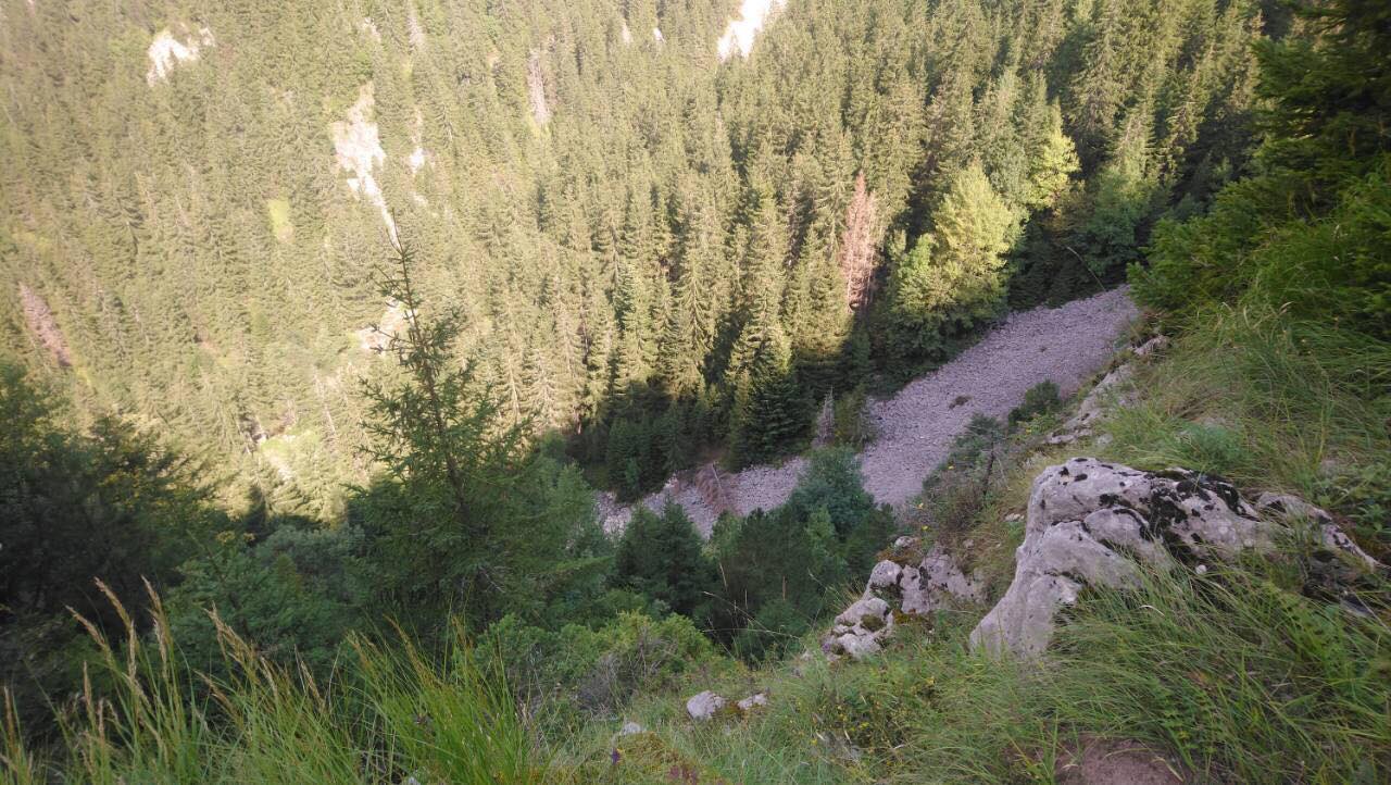 39834961_211603443041414_7475528992599048192_n