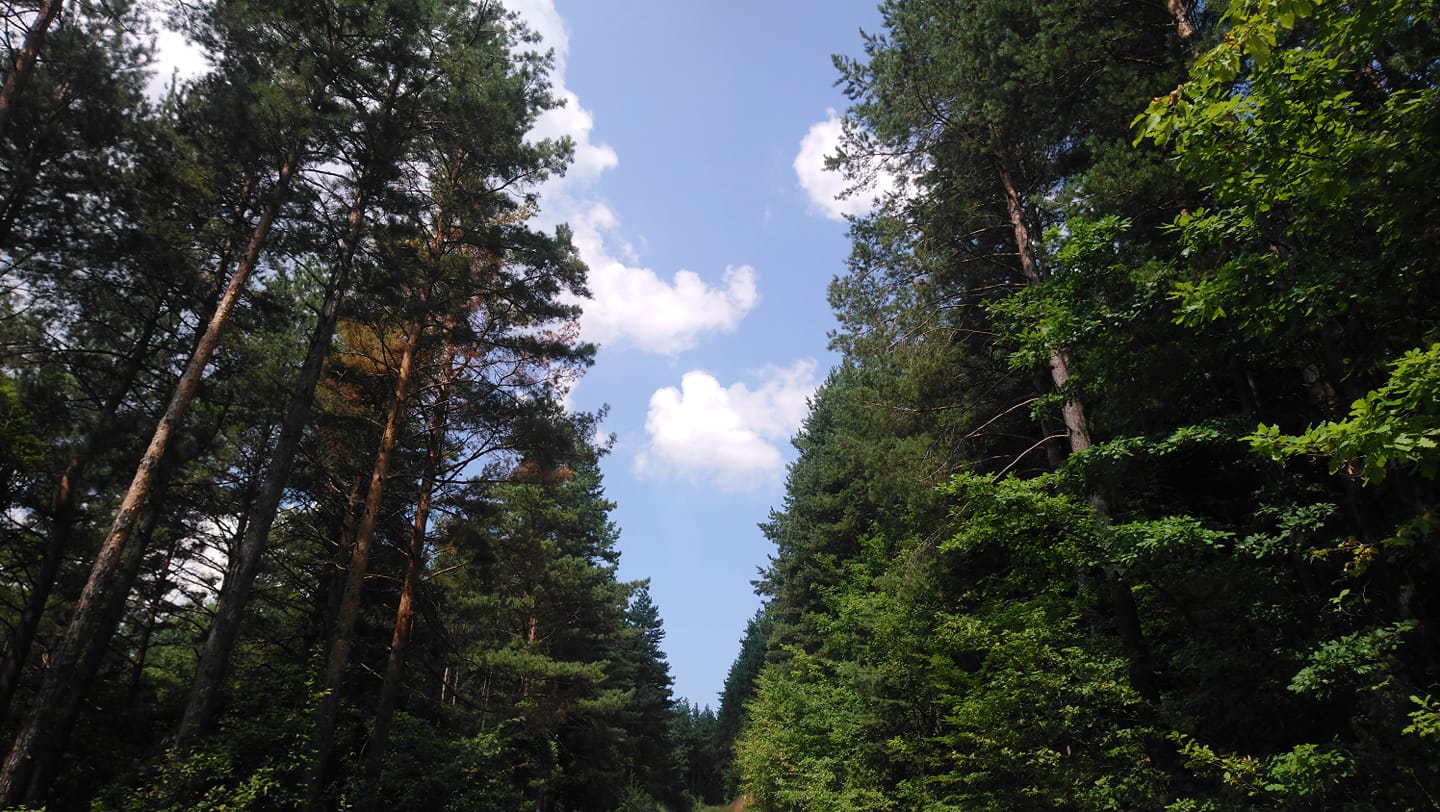 39950250_520896141682899_7502348245864022016_o