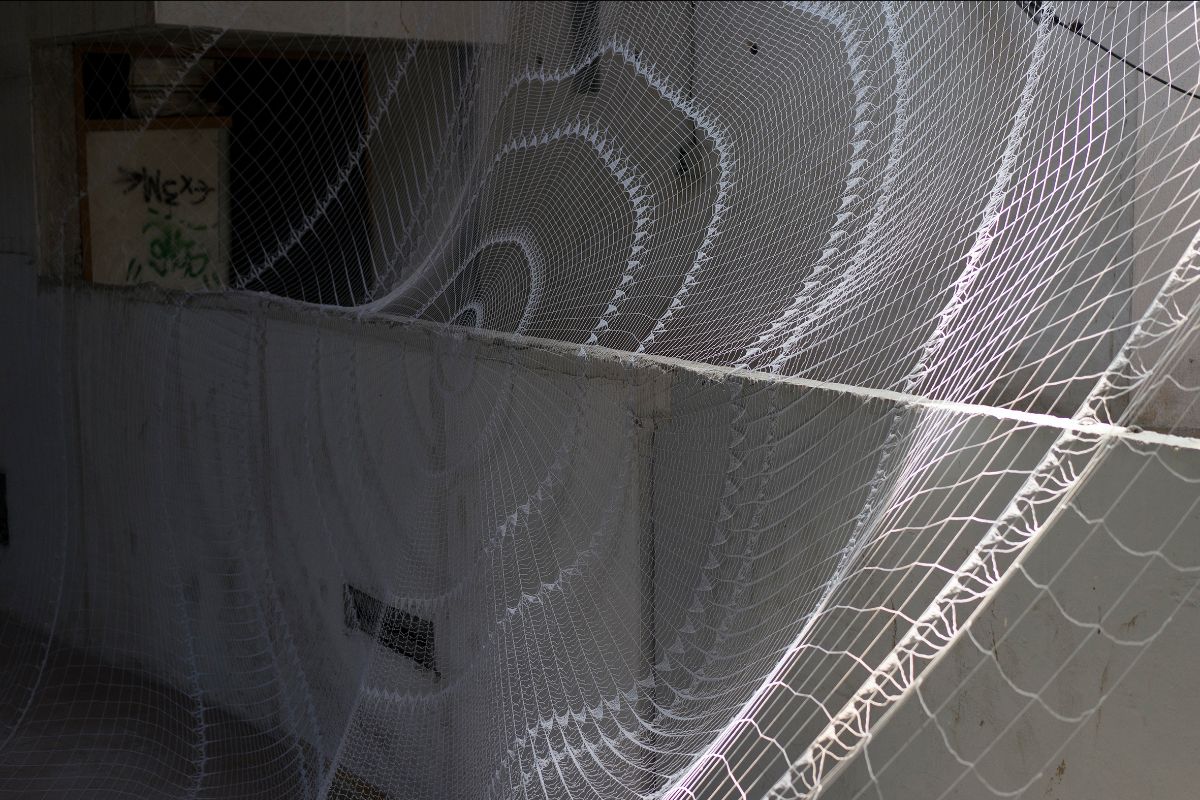 416973b1-704b-029c-8678-52ce3b1ebb94