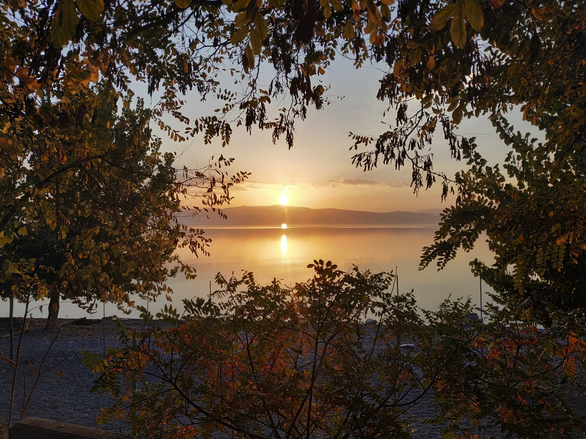 44887748_301902533744699_2358272186097074176_n