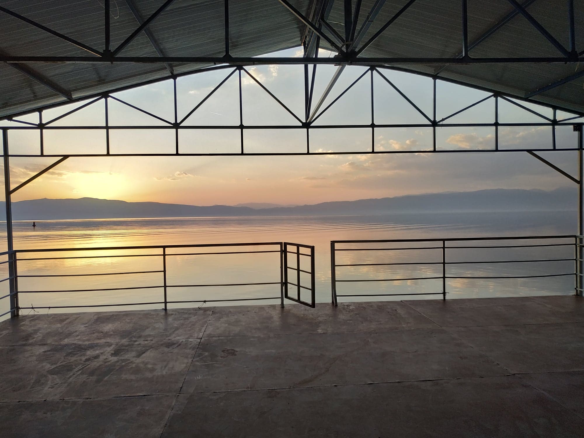 N1/ Jelena Petrović