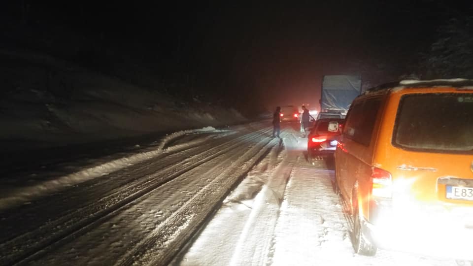 48173412_10217025304602411_7840499692617072640_n