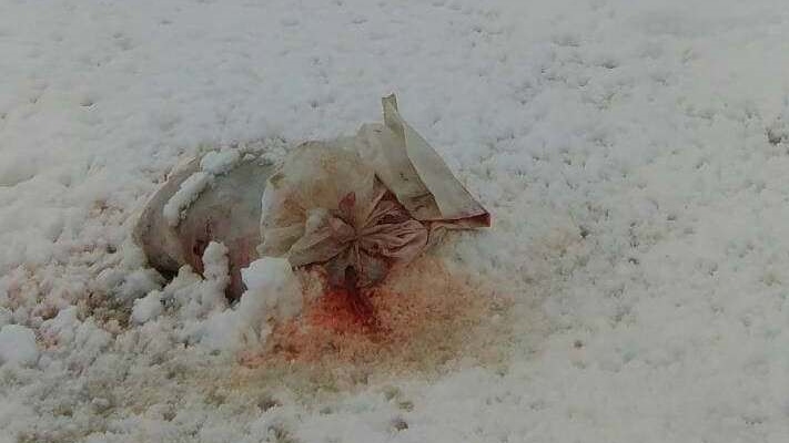 49512310_576867072776606_4093107621249155072_n