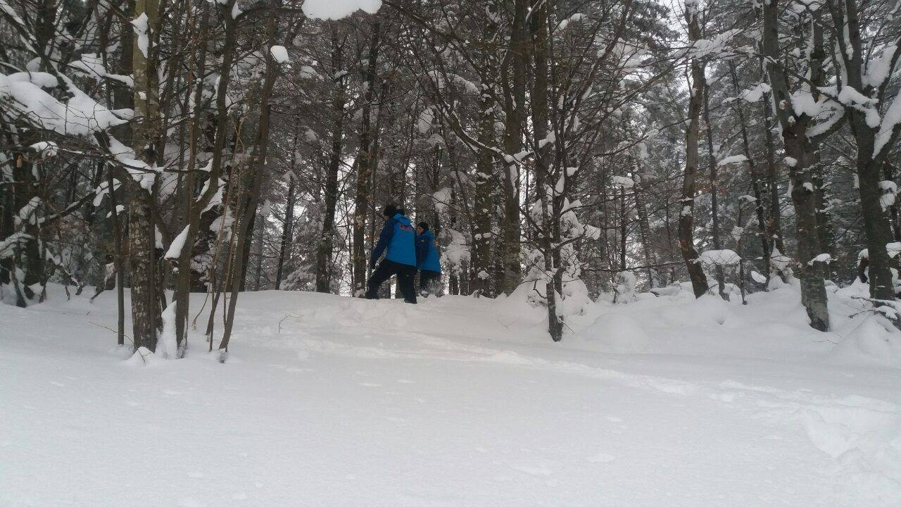 49572456_2164716753591354_3821242767007285248_o