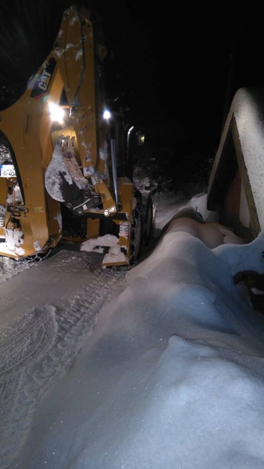 50117213_2176332195763143_5498191479052435456_n