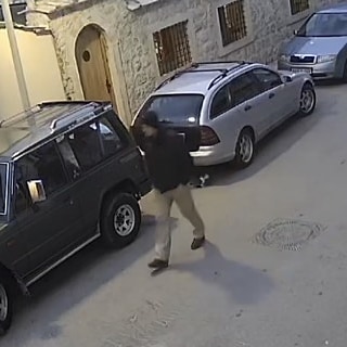 50514819_10156140547778811_2681281588209123328_n