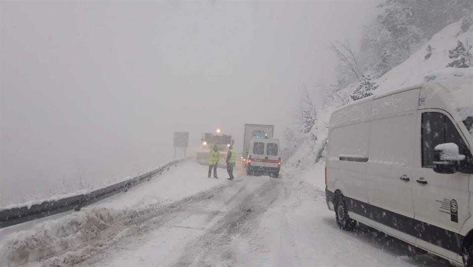 51047028_2251195331761591_6581481543632420864_o